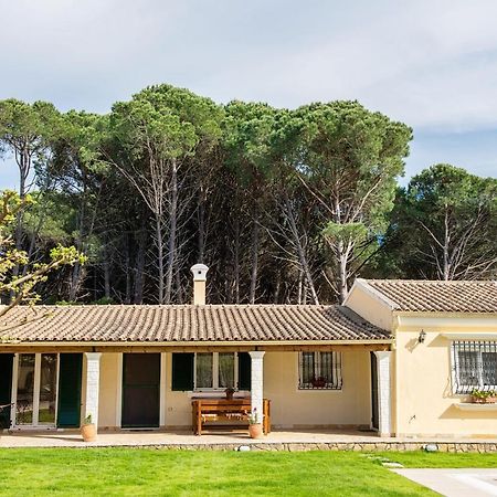 Villa Pine Forest Kompítsion Zewnętrze zdjęcie