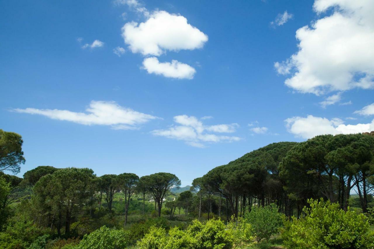 Villa Pine Forest Kompítsion Zewnętrze zdjęcie
